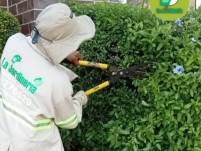 Paisajismo y mantenimiento de jardines M6