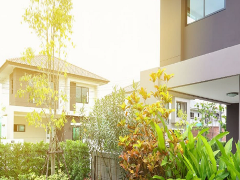 Paisajismo y mantenimiento de jardines M9