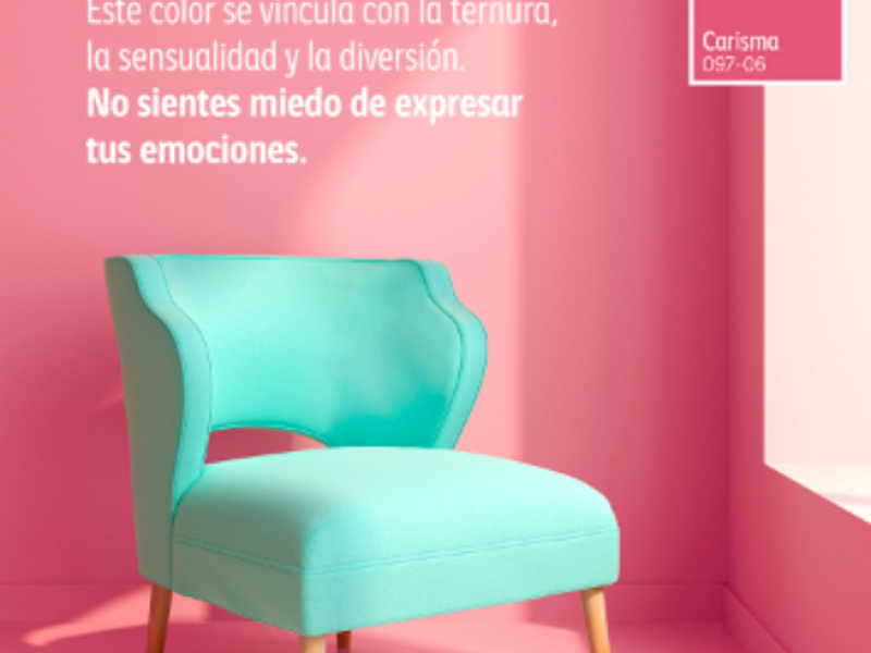 Remodelación y Pintura S6