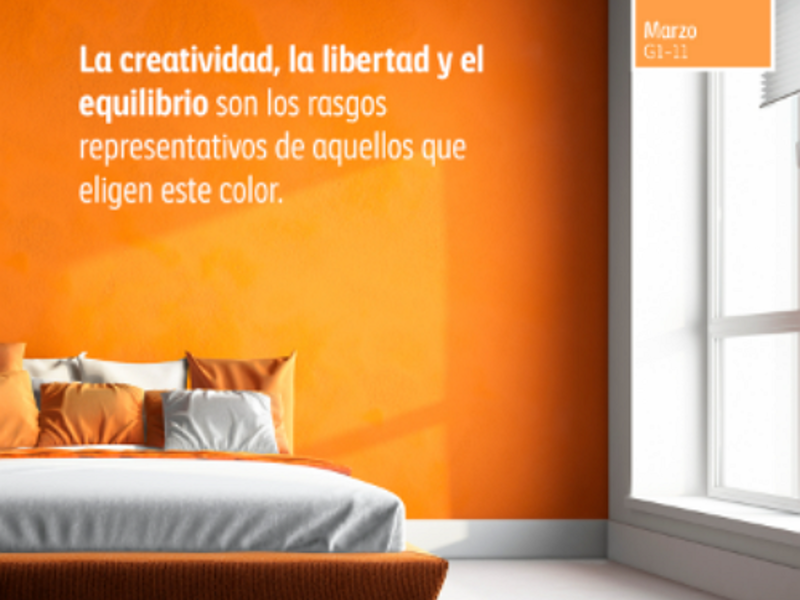 Remodelación y Pintura S7