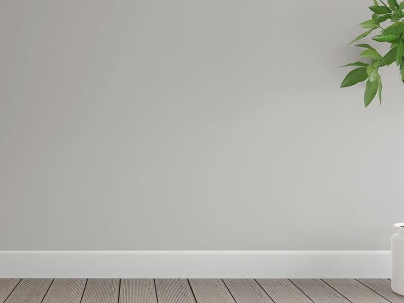Planta decorativa 