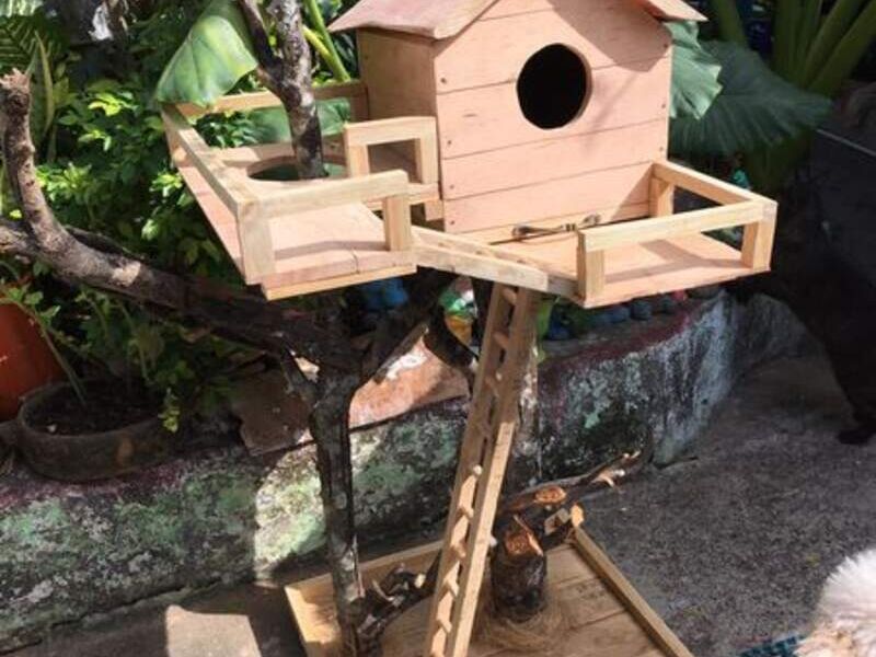 Casita para aves