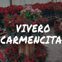Vivero "Carmencita"