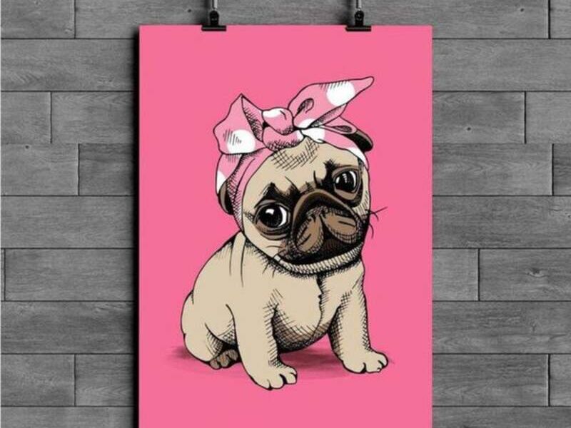 Cuadro Pug