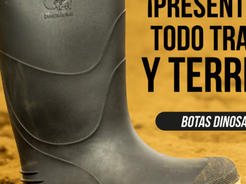 Bota dino Ciudad de Guatemala