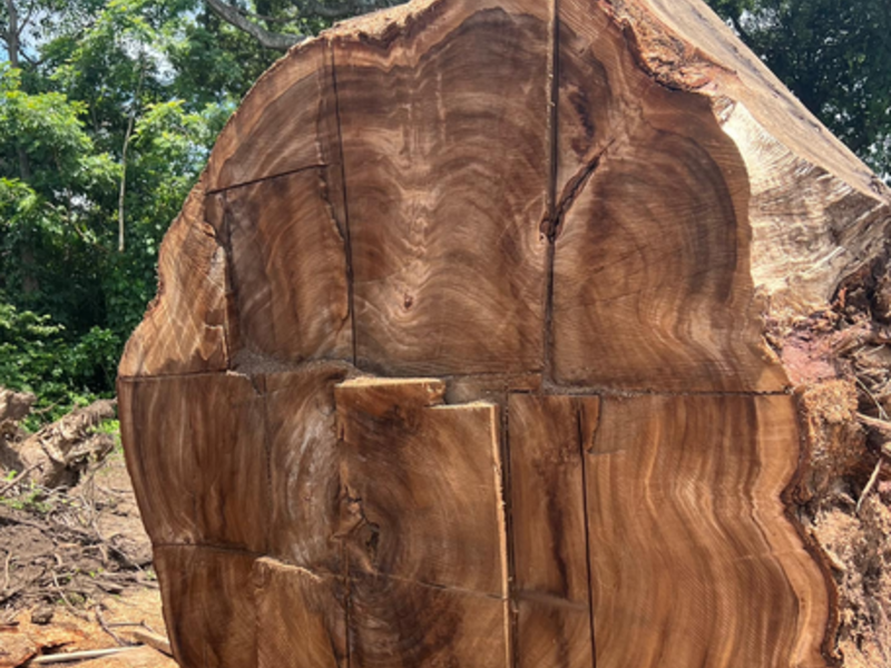 Madera circular 