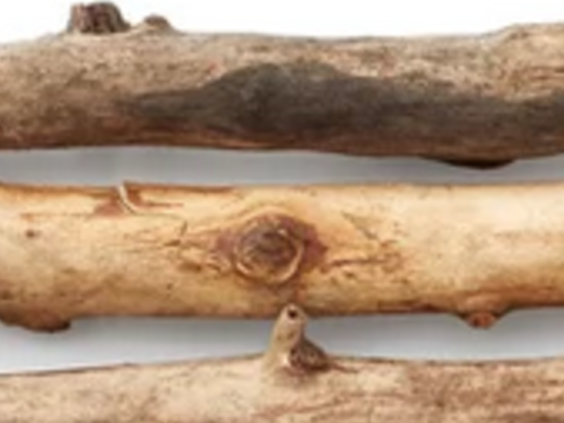 Troncos de madera 