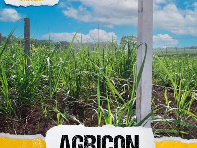 Agricon 