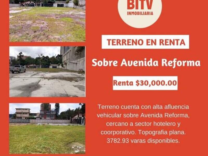 Terreno en Renta 