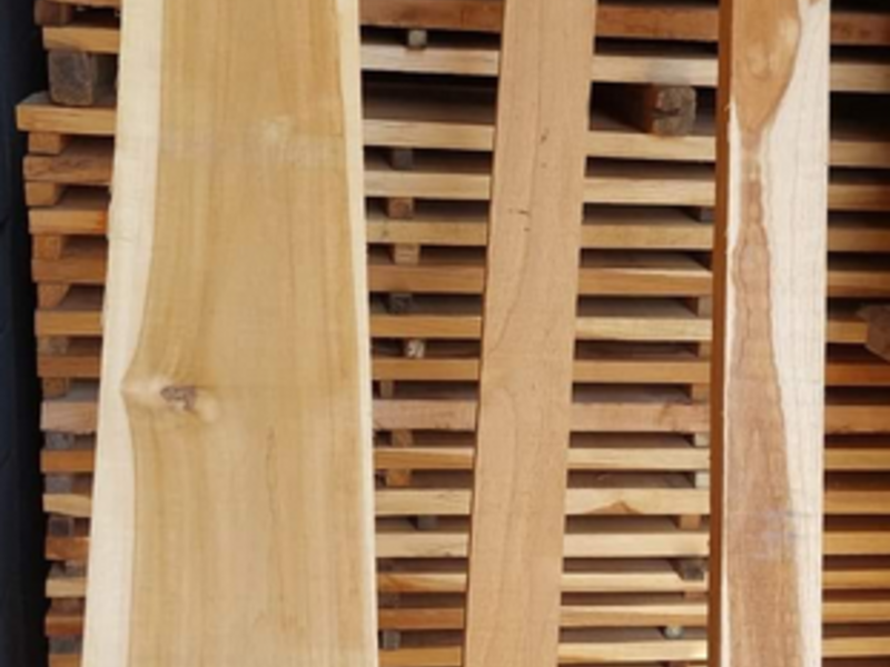 Tablas