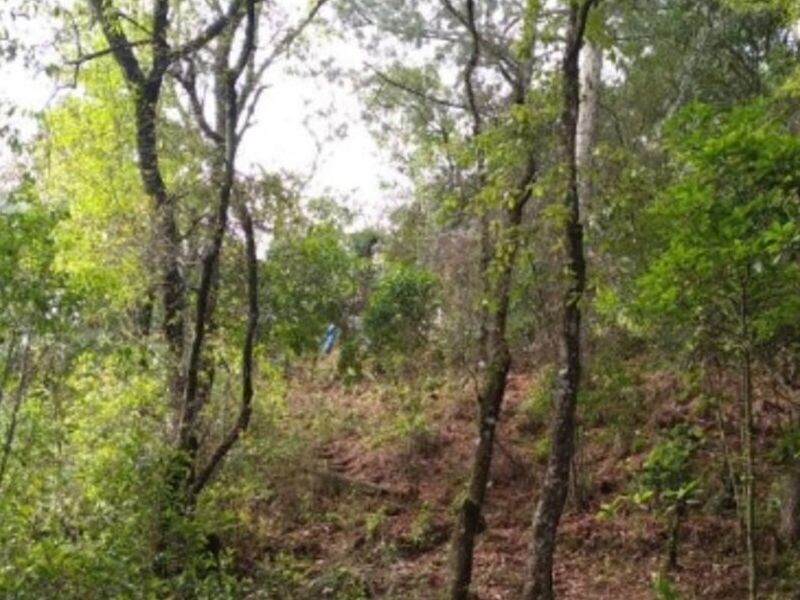 Terreno Venta Encinal Mixco Guatemala