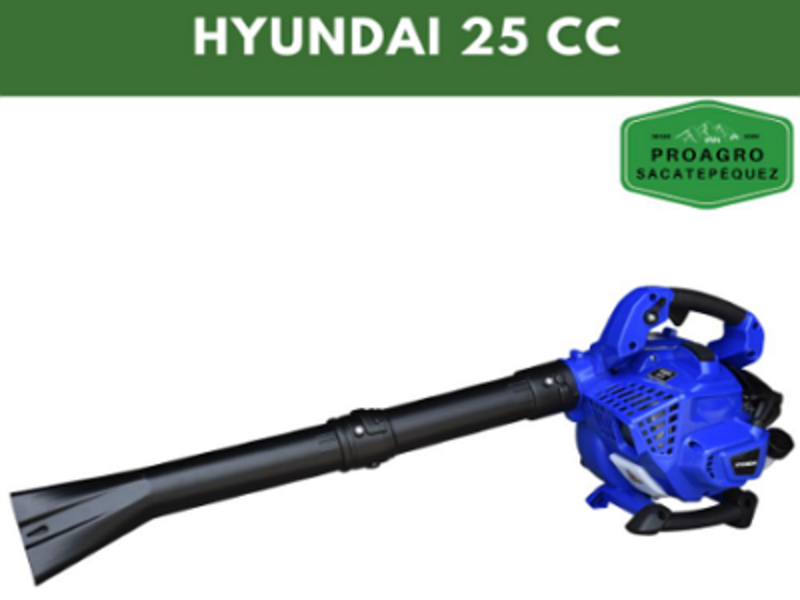 SOPLADORA Y ASPIRADORA GUATEMALA PROAGRO