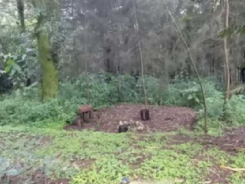 Terreno Rebajado