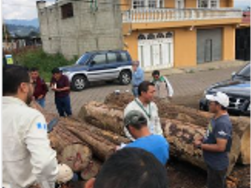 Tablones y tablas Quetzaltenango