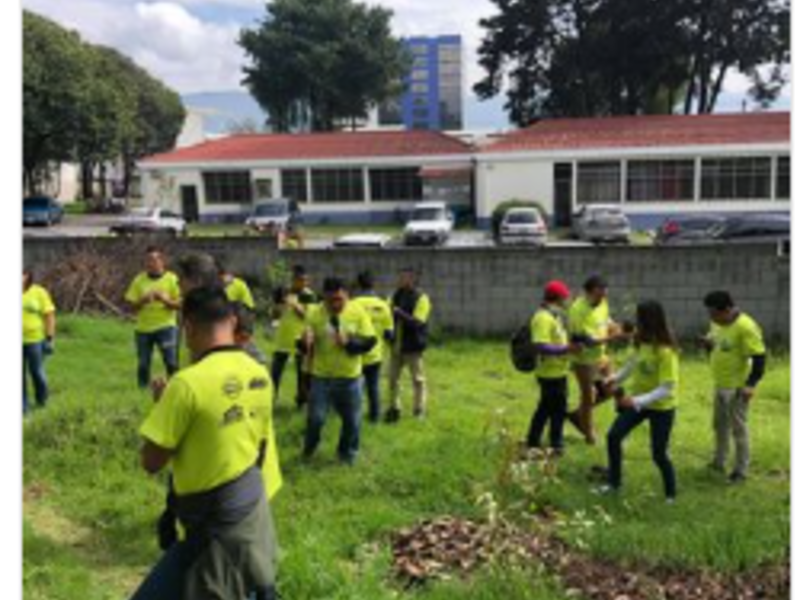 Astillas Quetzaltenango