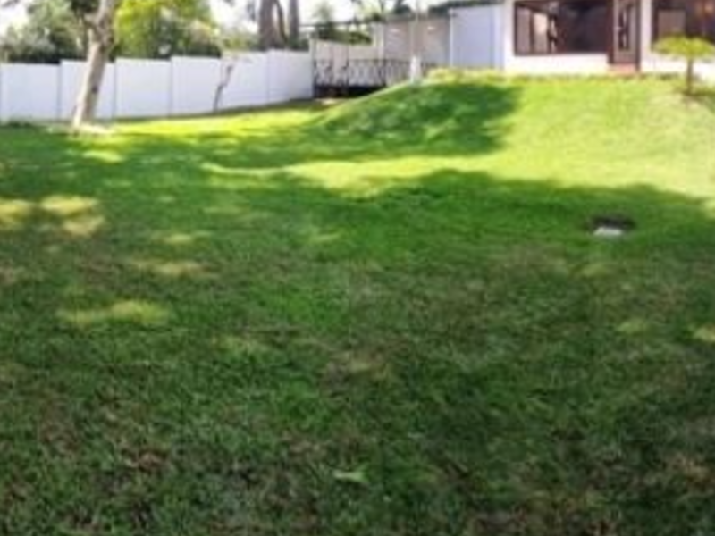 Terreno Residencial Carmen