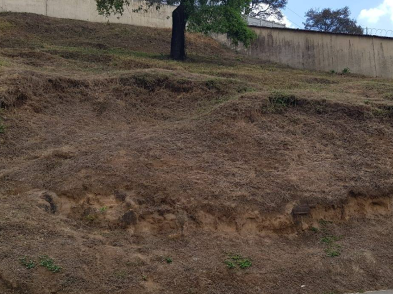 Terreno San Rafael