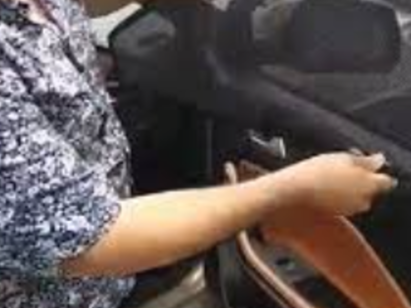 Mesh para vehículos Zacapa