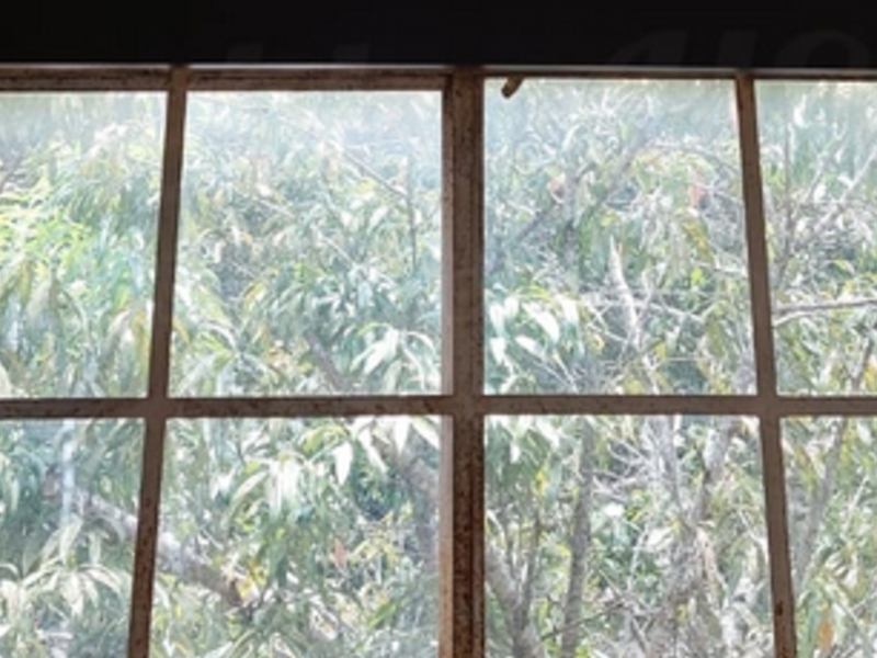Ventanas de Madera