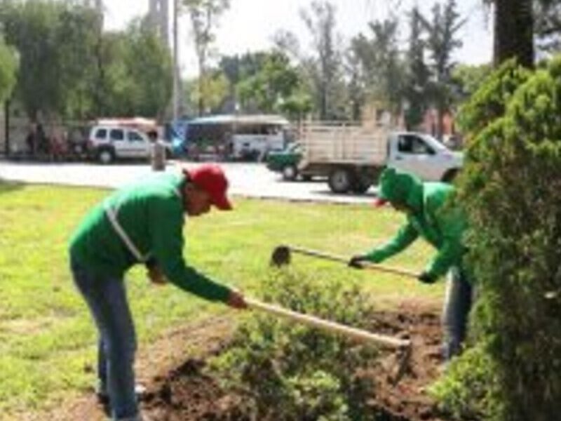 Mantenimiento de áreas verdes Guatemala