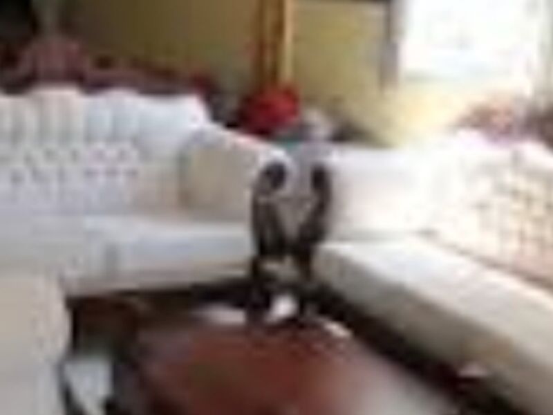 Sillones elegantes Guatemala