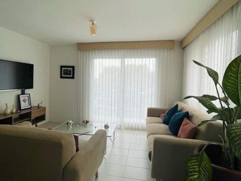 Cortinas de paleton 