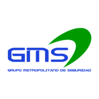 GM Seguridad