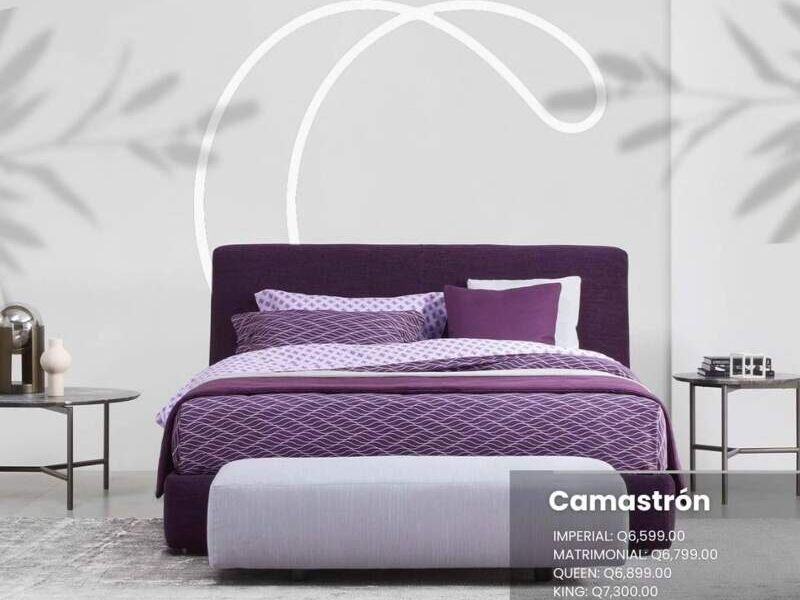 Camastron morado