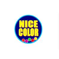 Pinturas Nice Color S. A.