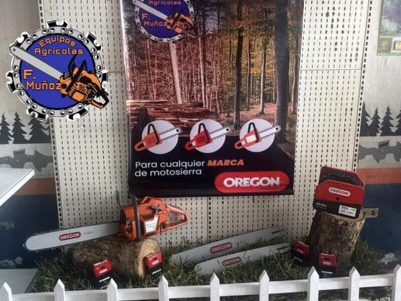 Motosierra Ciudad de Guatemala