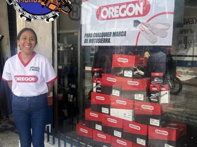 Motosierra Villa Nueva