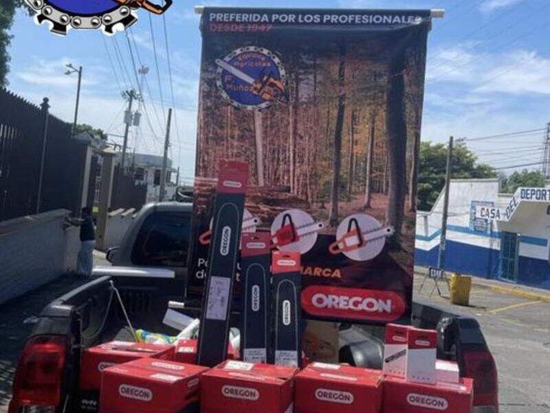 Motosierra Fraijanes