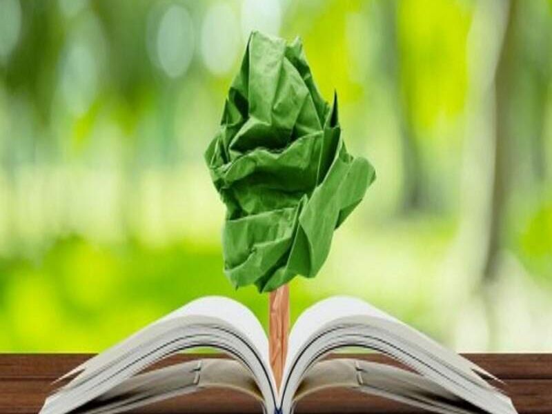 Educativos y Concientización Ambiental