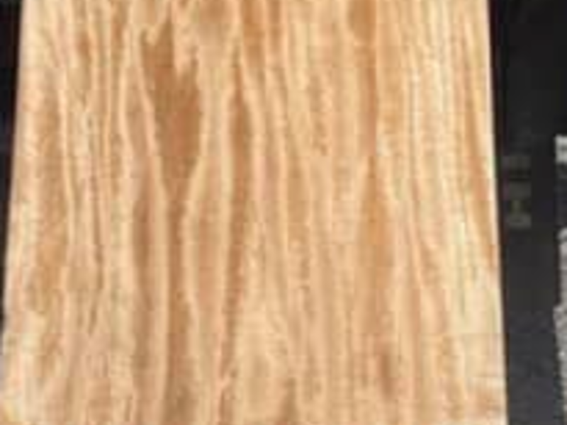 Madera para chapa 