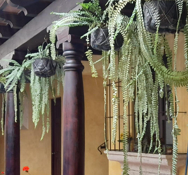 Carpintería Emanuel