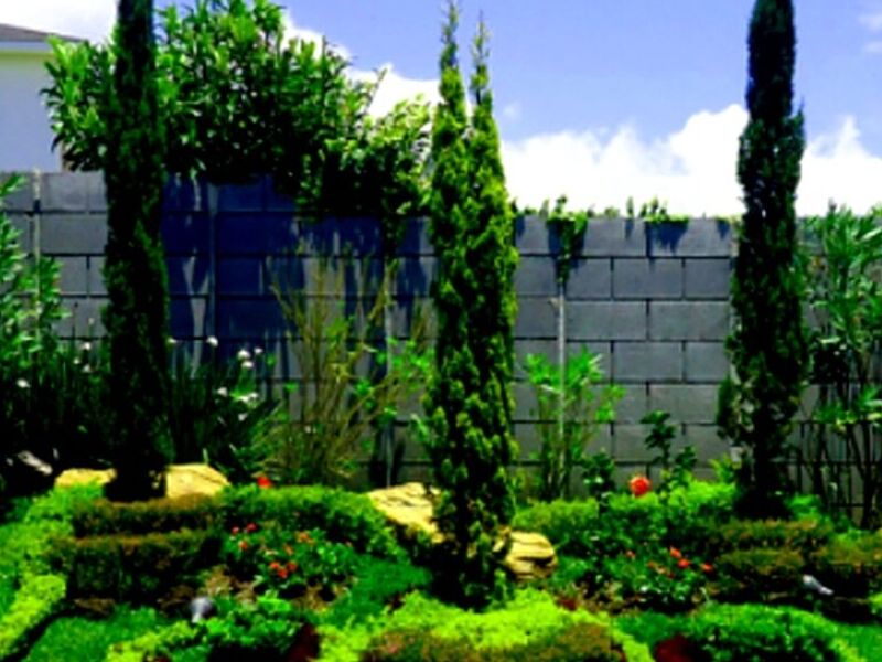Jardinizacion Guatemala