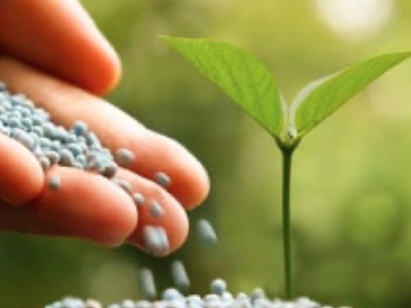 FERTILIZANTES GUATEMALA