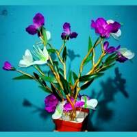 Decoración para Casas