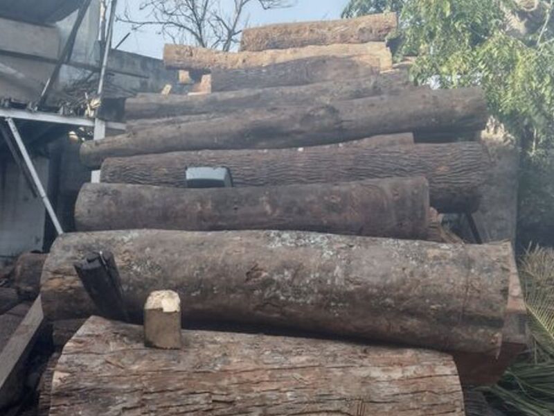 Madera nativa Ciudad de Guatemala
