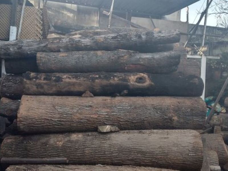 Madera nativa Mixco