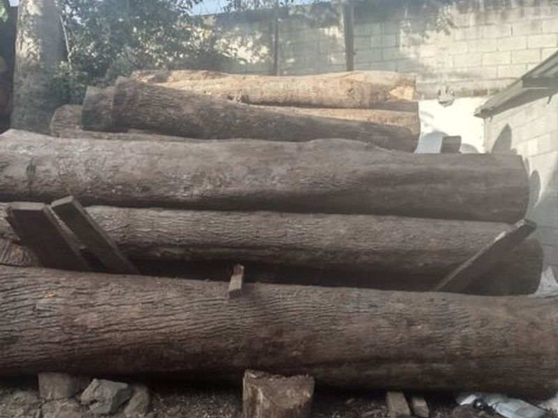 Madera nativa San Miguel Petapa