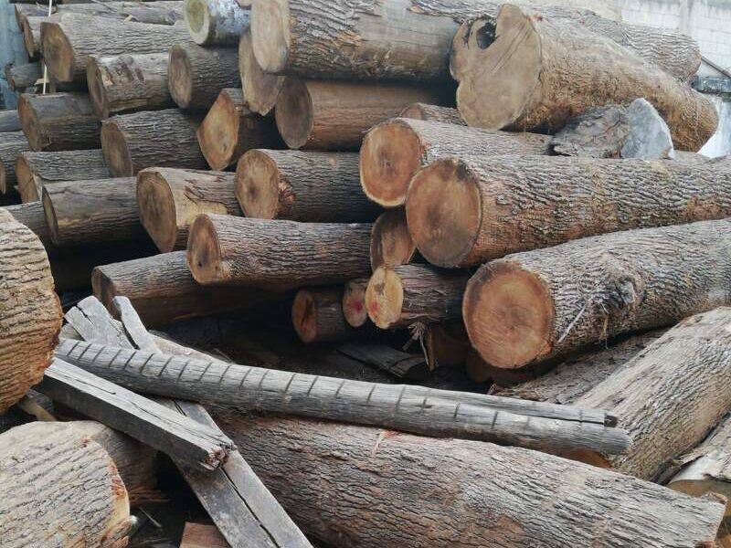 Madera nativa Santa Catarina Pinula