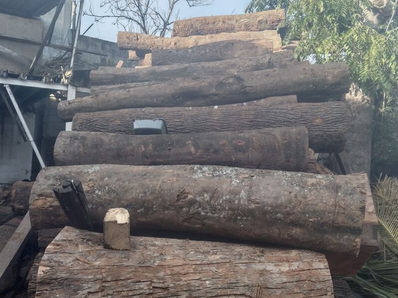 Madera nativa San Lucas Sacatepéquez