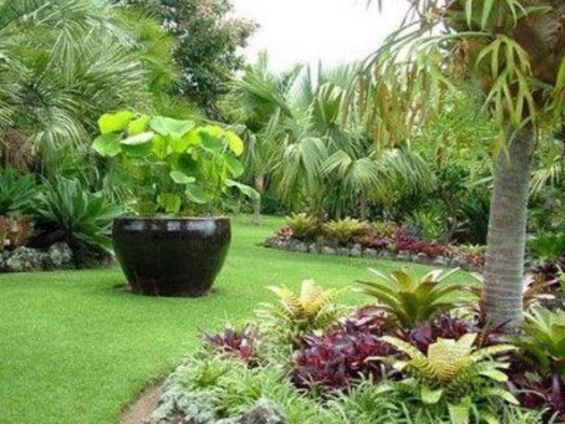 Planificacion jardines Guatemala