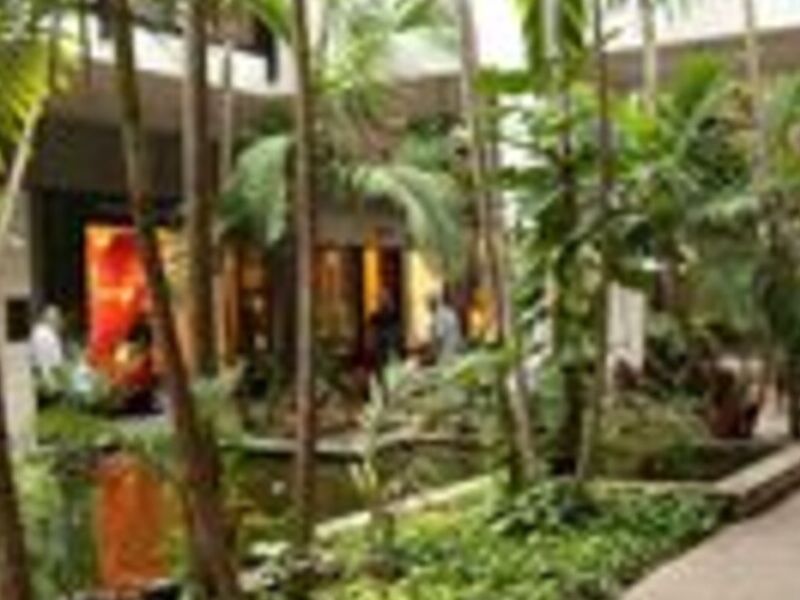 Jardinizaciones comerciales Guatemala