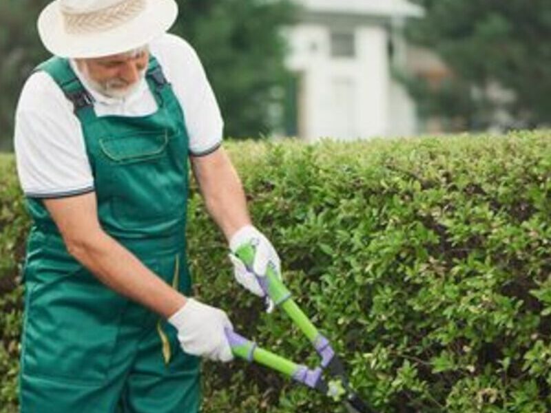 Mantenimiento jardines Guatemala