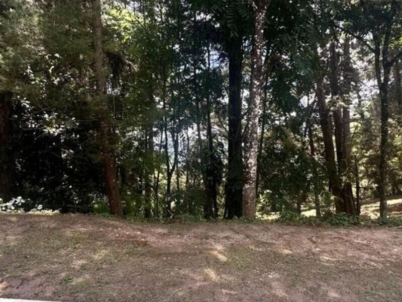 Terreno Lomas Bosque Muxbal Guatemala
