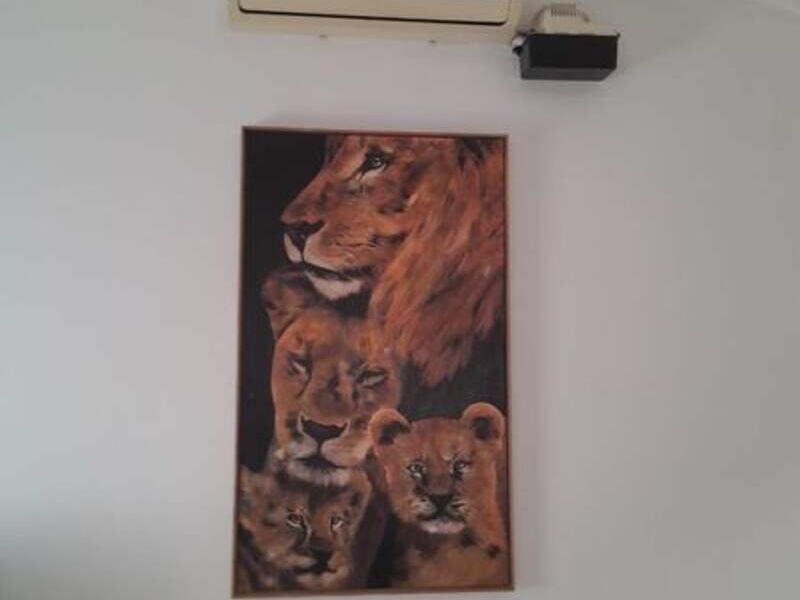 Cuadro Leones