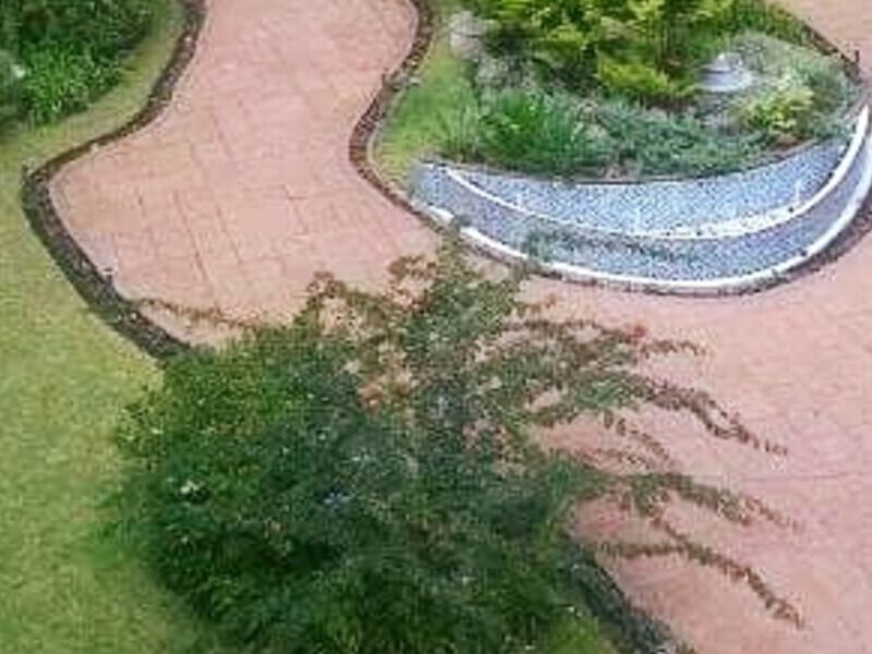 Arreglo plaza Guatemala
