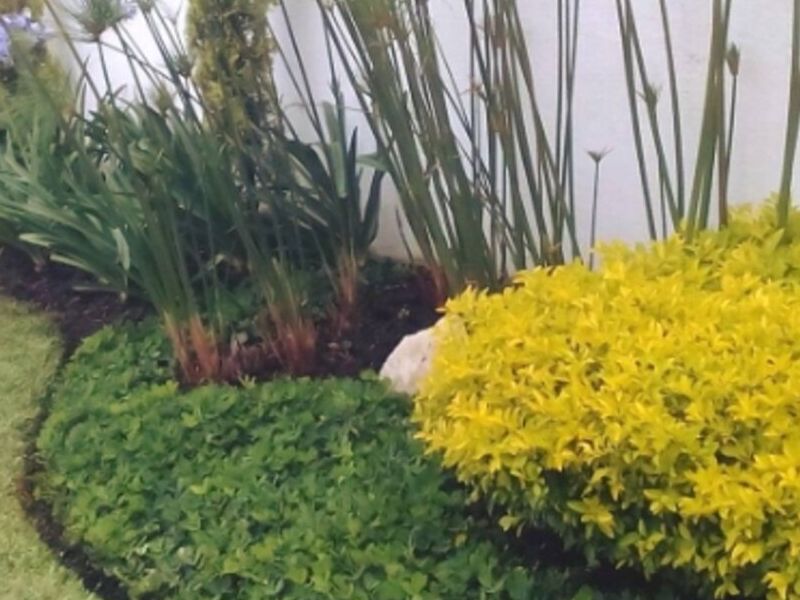 Mantenimiento jardín Guatemala